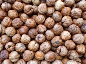 Understanding the Glycemic Index and Its Role in Nutritional Planning for Diabetics